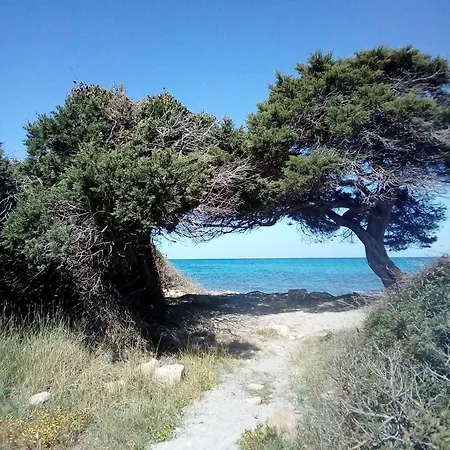 Summer Room- Fronte Guest house *