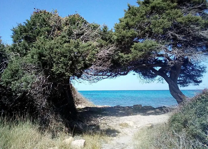 Summer Room- Fronte Pensjonat 3*